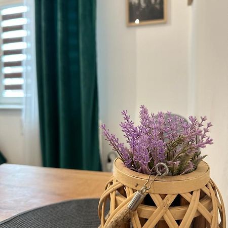 Apartament Zielony Kollataja Tomaszów Mazowiecki Zewnętrze zdjęcie