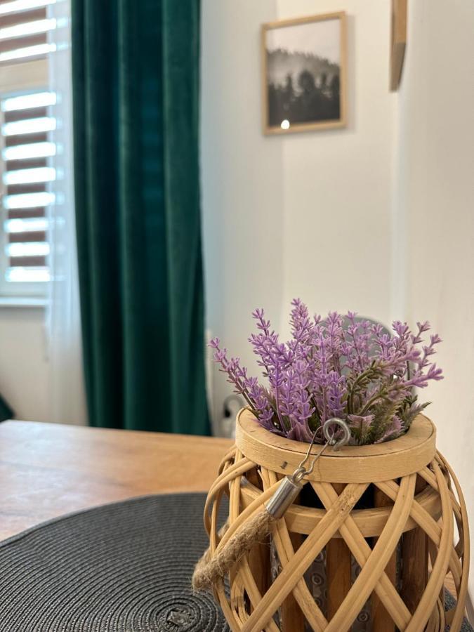 Apartament Zielony Kollataja Tomaszów Mazowiecki Zewnętrze zdjęcie